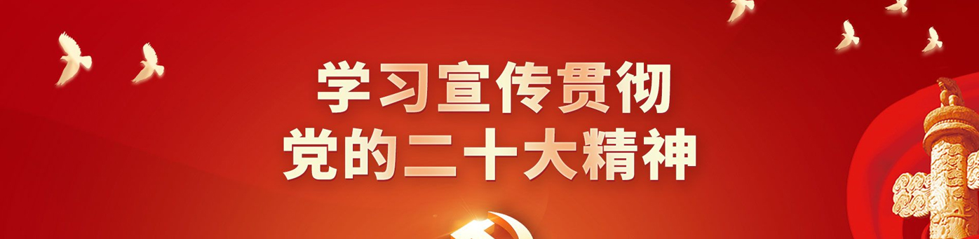 學(xué)習(xí)貫徹黨的二十大精神